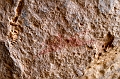 EJ9C4413_FICSA 2016_Pascal_Lahure